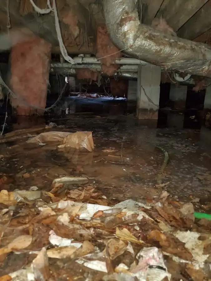 Crawl space flood assessment for Leak Detection & Repair in Appleton
