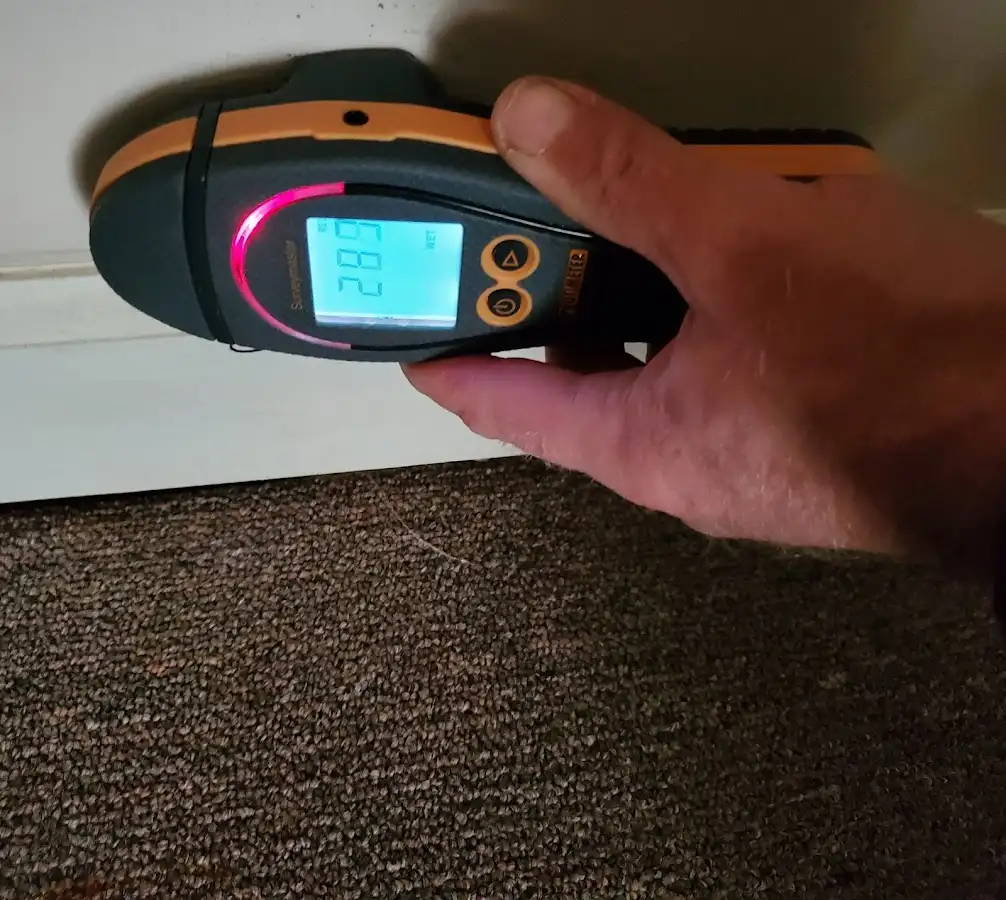 Moisture detection at baseboard during Sewage Cleanup & Sanitation in Appleton